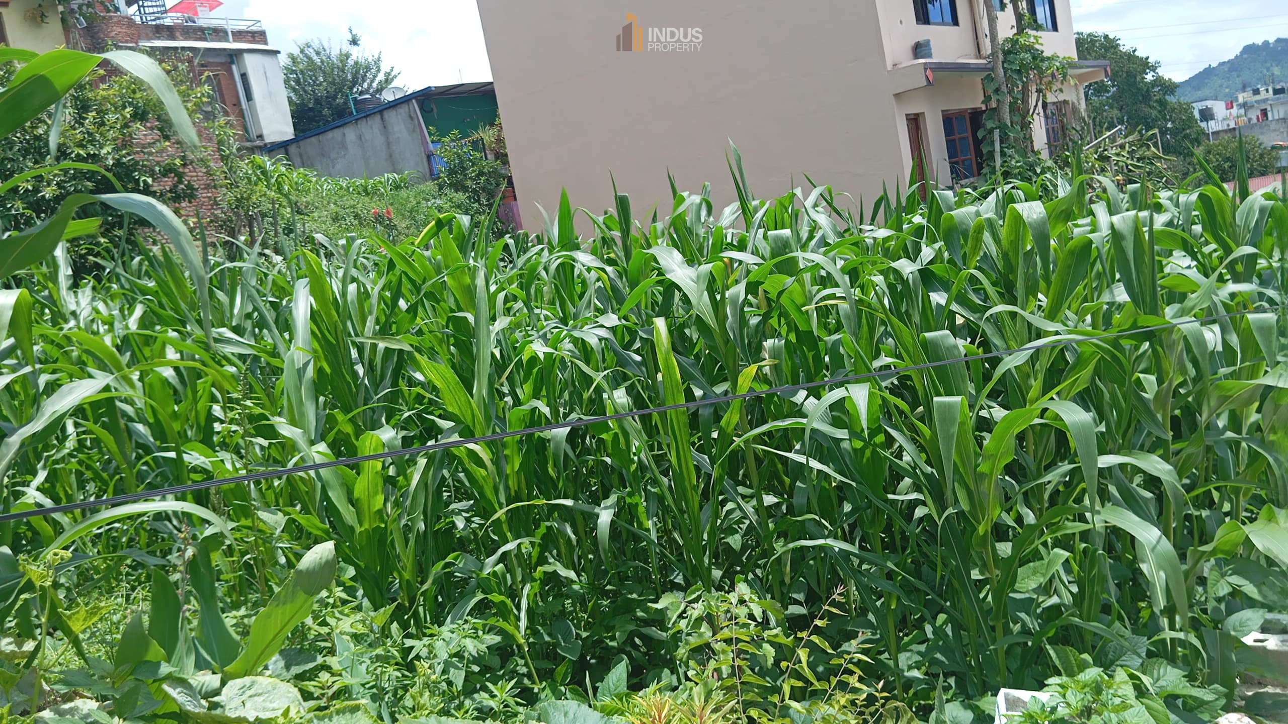 Picture of Kageshwari Manohara Municipality, Bagmati